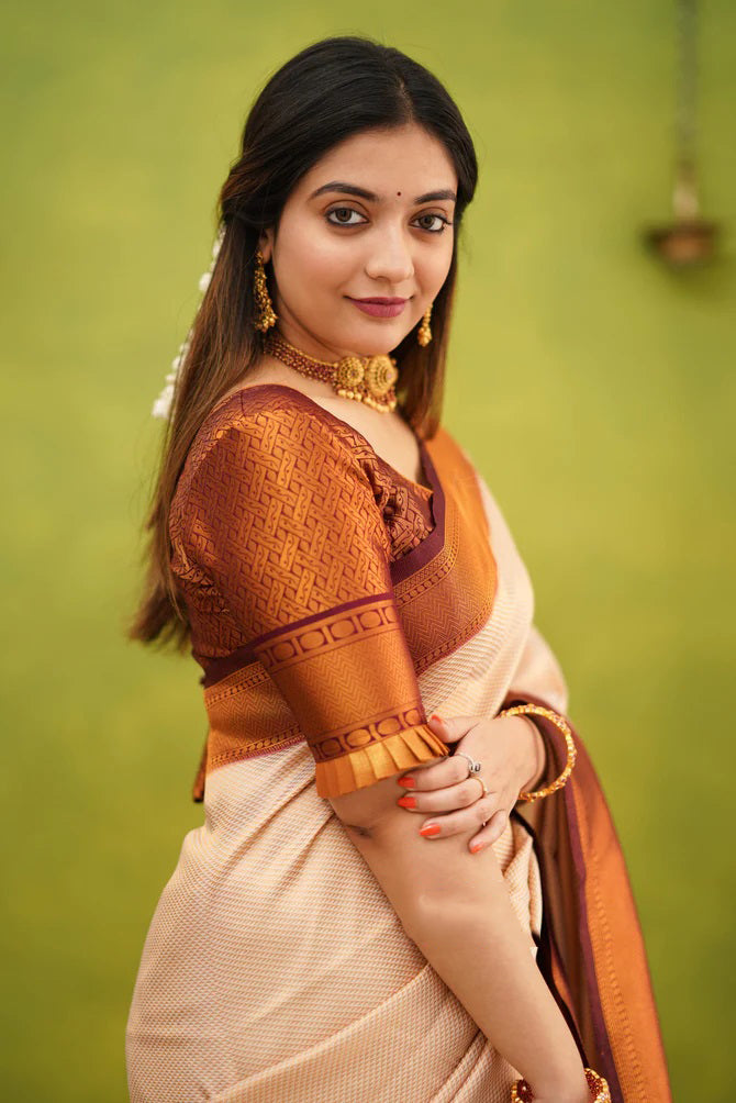 Elision Beige Soft Banarasi Silk Saree With Eloquence Blouse Piece